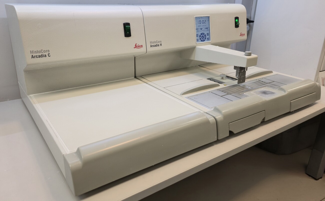 Centro de Inclusión HistoCore Arcadia